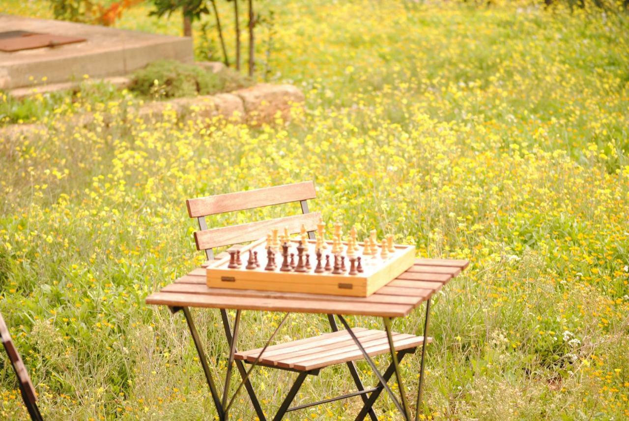 Bed and Breakfast Il Giardino Di Viola Чельє-Мессапіка Екстер'єр фото